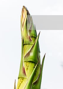 新版信而富逾期一天还能借吗