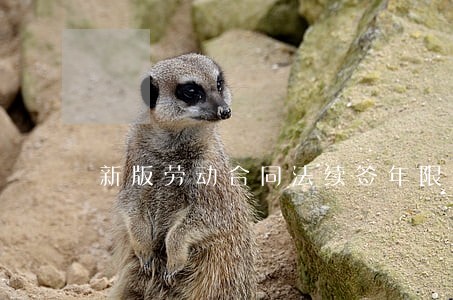 新版劳动合同法续签年限 新版劳动合同法续签年限