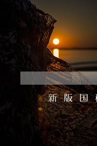 新版国税逾期申报 新版国税逾期申报