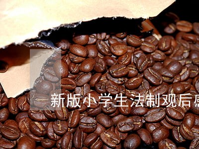 新版小学生法制观后感 新版小学生法制观后感