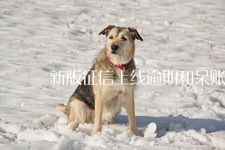 新版征信上线逾期和呆账几年更新 新版征信上线逾期和呆账几年更新