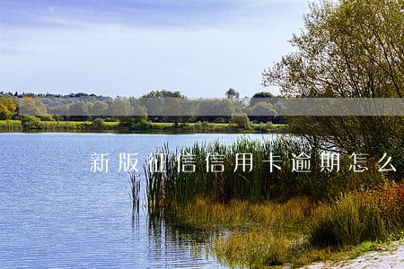 新版征信信用卡逾期怎么看 新版征信信用卡逾期怎么看