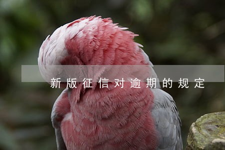 新版征信对逾期的规定 新版征信对逾期的规定
