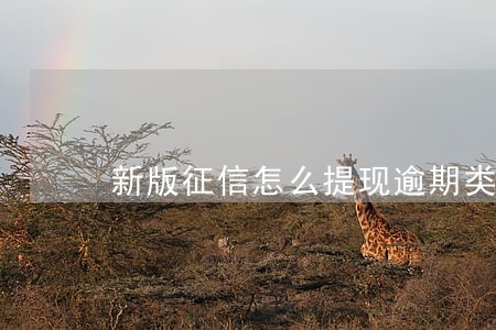 新版征信怎么提现逾期类负债 新版征信怎么提现逾期类负债
