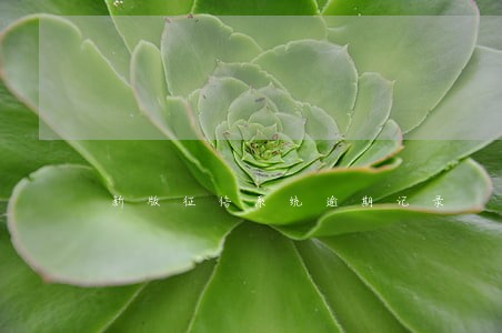 新版征信系统逾期记录 新版征信系统逾期记录