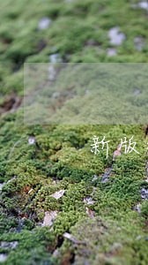 新版征信账户逾期 新版征信账户逾期