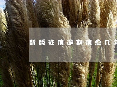 新版征信逾期信息几年消除 新版征信逾期信息几年消除