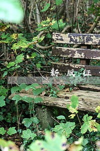 新版征信逾期信息汇总 新版征信逾期信息汇总
