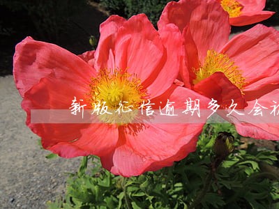 新版征信逾期多久会被消除