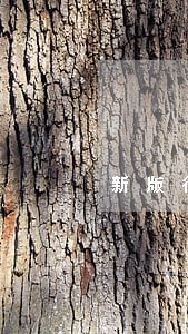 新版征信逾期怎么消除