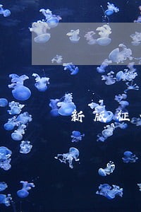 新版征信逾期记录几年消除
