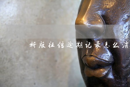 新版征信逾期记录怎么消除 新版征信逾期记录怎么消除