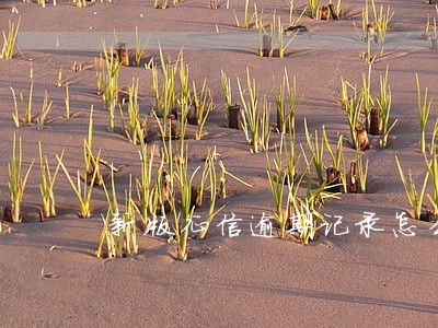 新版征信逾期记录怎么看