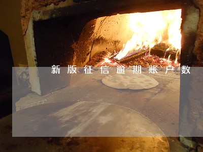 新版征信逾期账户数 新版征信逾期账户数