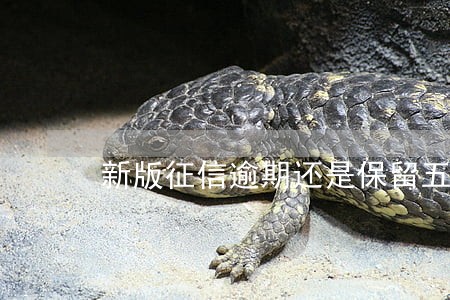 新版征信逾期还是保留五年