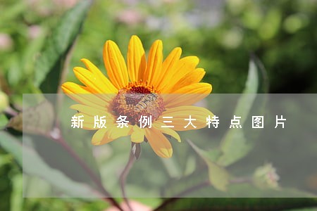 新版条例三大特点图片