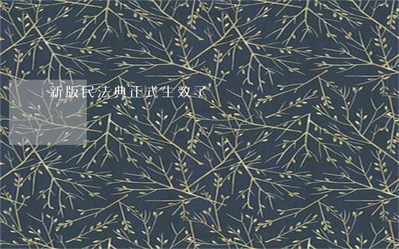 新版民法典正式生效了 新版民法典正式生效了