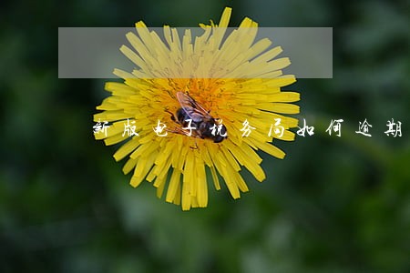 新版电子税务局如何逾期申报 新版电子税务局如何逾期申报