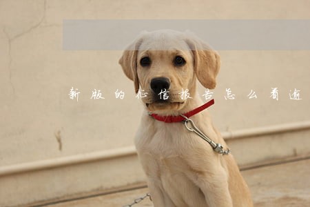 新版的征信报告怎么看逾期