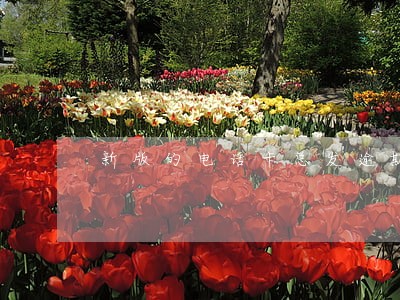 新版的电话卡总发逾期信息 新版的电话卡总发逾期信息
