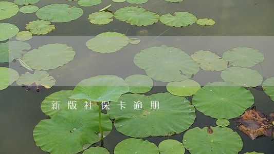 新版社保卡逾期