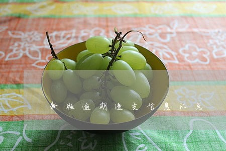 新版逾期透支信息汇总