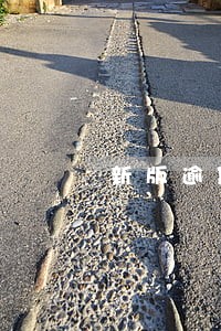 新版逾期透支信息汇总月份栏