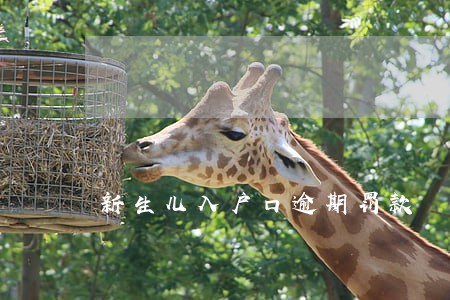 新生儿入户口逾期罚款 新生儿入户口逾期罚款
