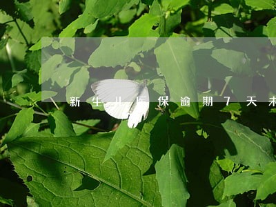 新生儿医保逾期7天未缴费 新生儿医保逾期7天未缴费
