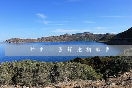 新生儿医保逾期缴费
