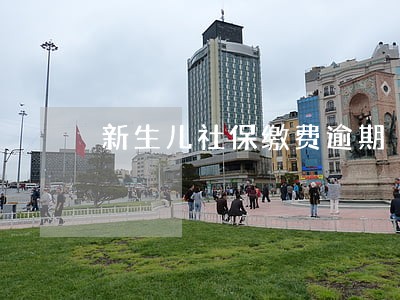 新生儿社保缴费逾期