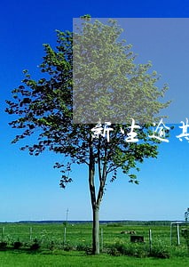 新生逾期不报名单公示