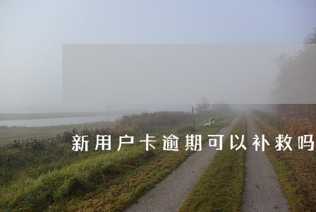 新用户卡逾期可以补救吗 新用户卡逾期可以补救吗
