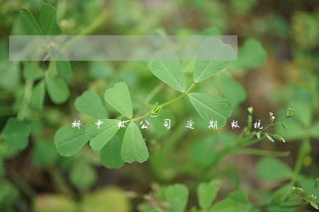 新申报公司逾期报税 新申报公司逾期报税