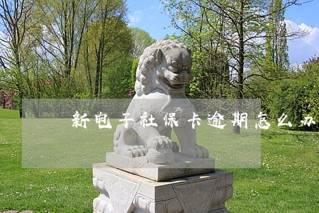 新电子社保卡逾期怎么办 新电子社保卡逾期怎么办