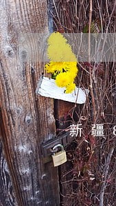 新疆8月份疫情美团逾期 新疆8月份疫情美团逾期