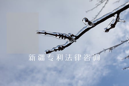 新疆专利法律咨询