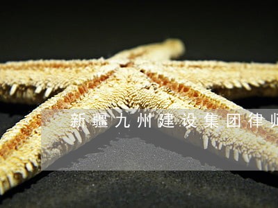 新疆九州建设集团律师 新疆九州建设集团律师
