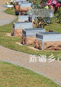 新疆乡司法所长现实表现 新疆乡司法所长现实表现