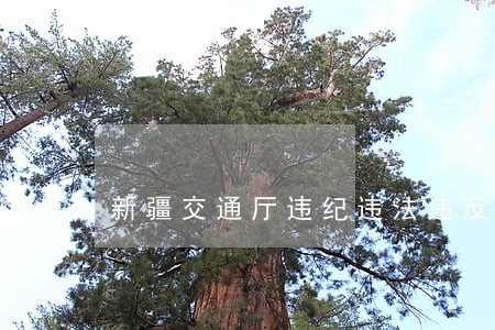 新疆交通厅违纪违法违反 新疆交通厅违纪违法违反