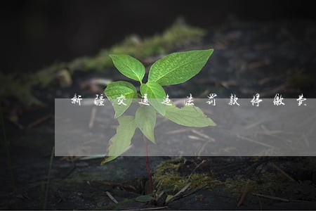 新疆交通违法罚款停缴费 新疆交通违法罚款停缴费
