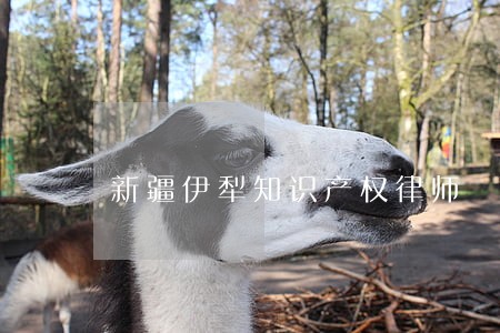 新疆伊犁知识产权律师 新疆伊犁知识产权律师