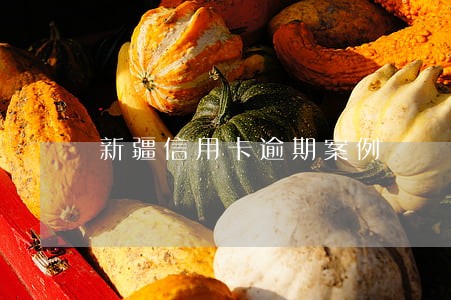 新疆信用卡逾期案例