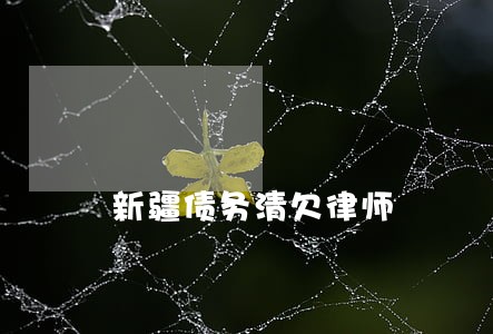 新疆债务清欠律师 新疆债务清欠律师