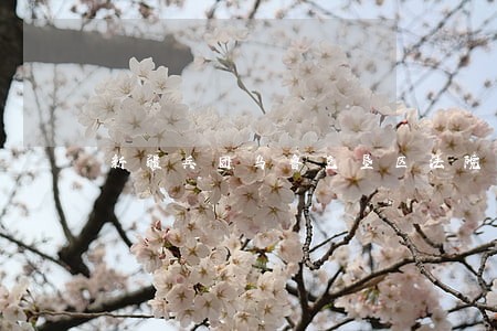 新疆兵团乌鲁克垦区法院电话 新疆兵团乌鲁克垦区法院电话