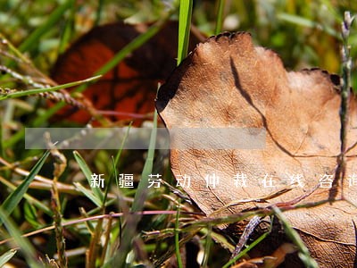 新疆劳动仲裁在线咨询 新疆劳动仲裁在线咨询