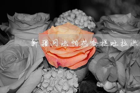 新疆司法帕热哈提吐拉洪 新疆司法帕热哈提吐拉洪