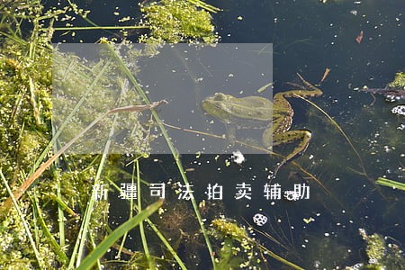 新疆司法拍卖辅助