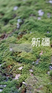 新疆司法考试培训学校哪家好 新疆司法考试培训学校哪家好