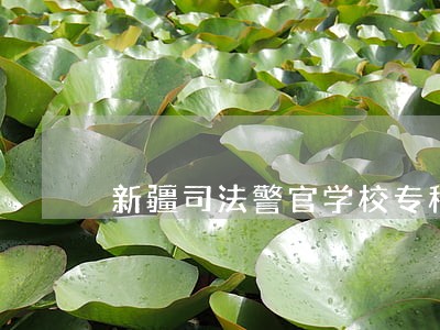 新疆司法警官学校专科 新疆司法警官学校专科